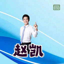 赵凯